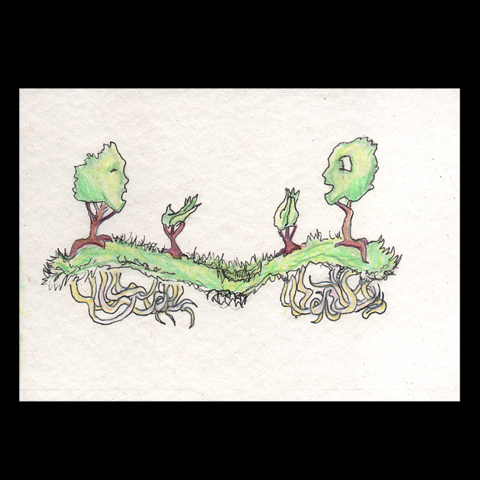 image19