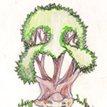 image05