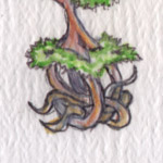 image20