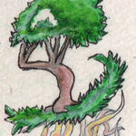 image11