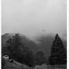 fog